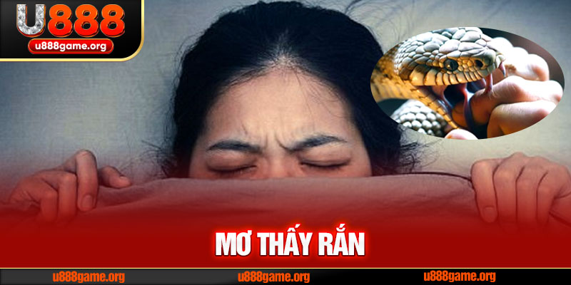 Giải mã giấc mơ thấy rắn theo từng tình huống cụ thể